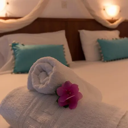 Aparthotel Saraya