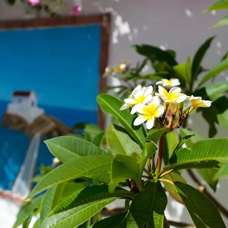 Saraya Aparthotel Alinda (Leros)